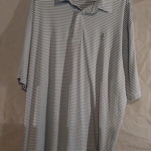 Izod Blue Striped Polo Shirt with Logo